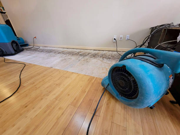 Professional Structural Drying technician working in Fairview, GA